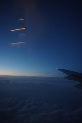 IMGP2939
